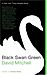 David Mitchell: Black Swan Green: A Novel